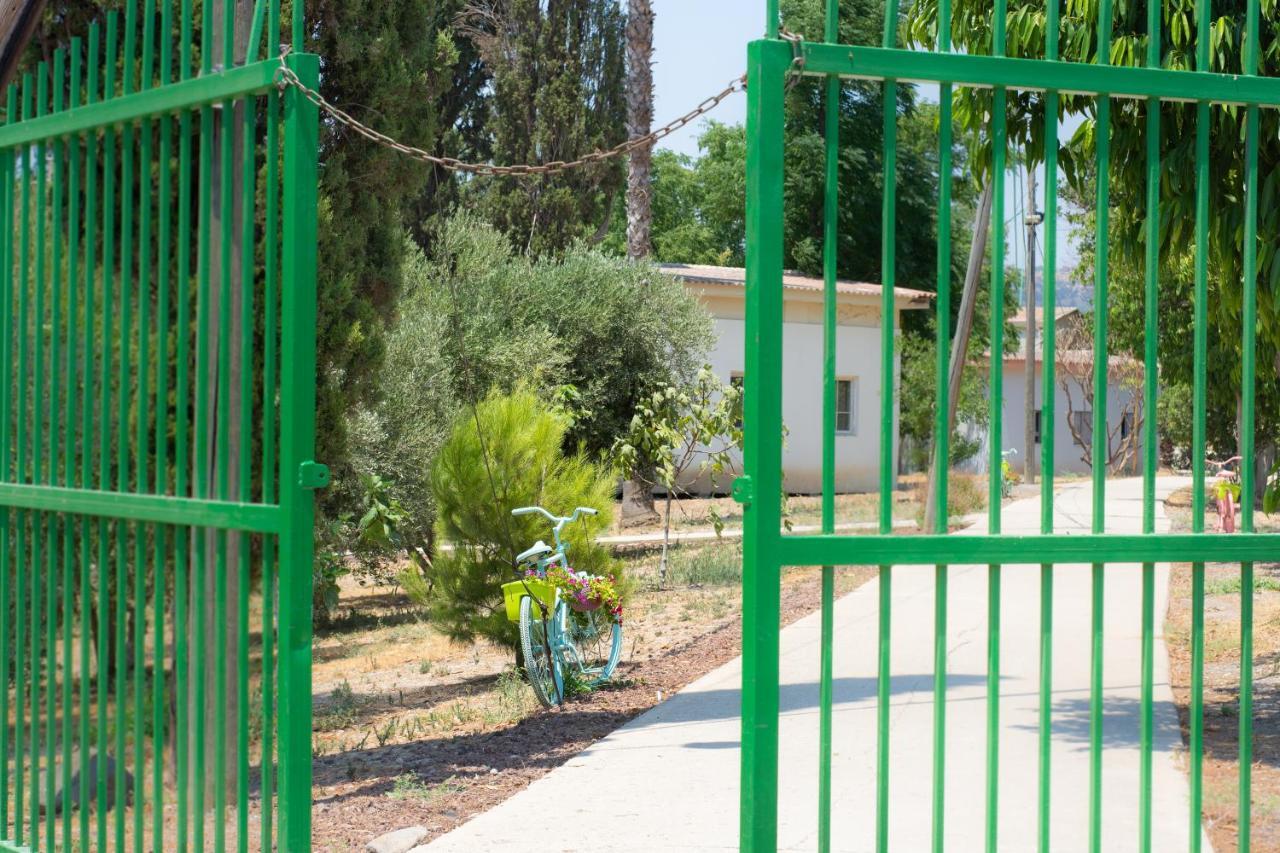 Aliyah Return Center Panzió Degania Bet Kültér fotó